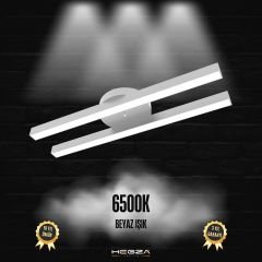 MELLIZO - Plafonyer LED Avize Gri Kasa - 6500K - Beyaz Işık