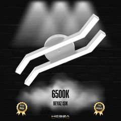 PESCA - Plafonyer LED Avize Gri Kasa - 6500K - Beyaz Işık