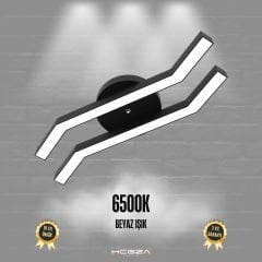 PESCA - Plafonyer LED Avize Siyah Kasa - 6500K - Beyaz Işık