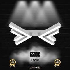 OSSO - Plafonyer LED Avize Gri Kasa - 6500K - Beyaz Işık