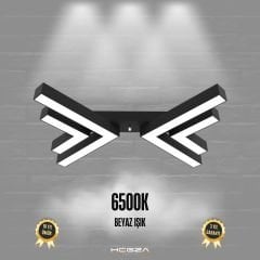 OSSO - Plafonyer LED Avize Siyah Kasa - 6500K - Beyaz Işık