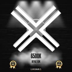 TIMON - Plafonyer LED Avize Gri Kasa - 6500K - Beyaz Işık