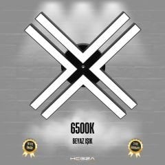 TIMON - Plafonyer LED Avize Siyah Kasa - 6500K - Beyaz Işık