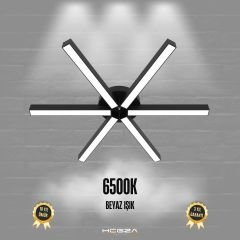 BORDE - Plafonyer LED Avize Siyah Kasa - 6500K - Beyaz Işık