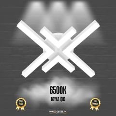 ARANA - Plafonyer LED Avize Beyaz Kasa - 6500K - Beyaz Işık