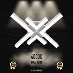 ARANA - Plafonyer LED Avize Gri Kasa - 4000K - Gün Işığı