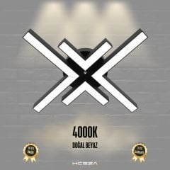 ARANA - Plafonyer LED Avize Siyah Kasa - 4000K - Gün Işığı