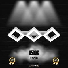 AMIGO - Plafonyer LED Avize Gri Kasa - 6500K - Beyaz Işık